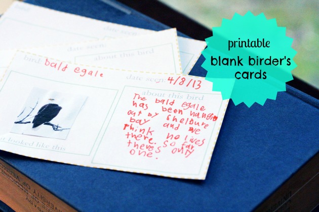 Printable Blank Birder's Cards