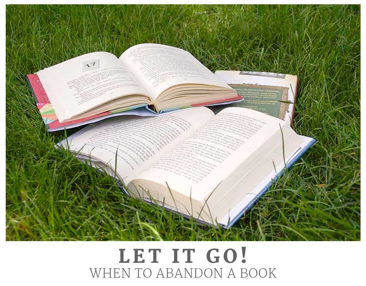 Let it Go! When to Abandon a Book